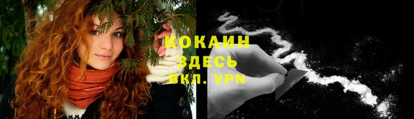 стафф Куйбышев