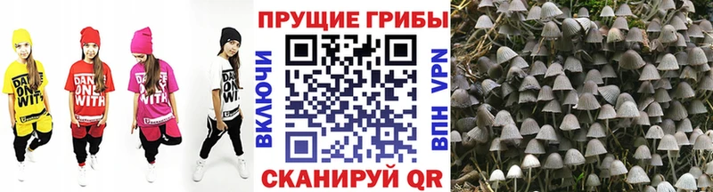 Галлюциногенные грибы мицелий  Малмыж 